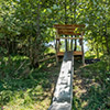 bradley_burn_060718-21