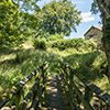bradley_burn_060718-34