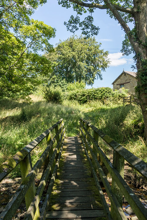 Bradley Burn Environmental Policy Information